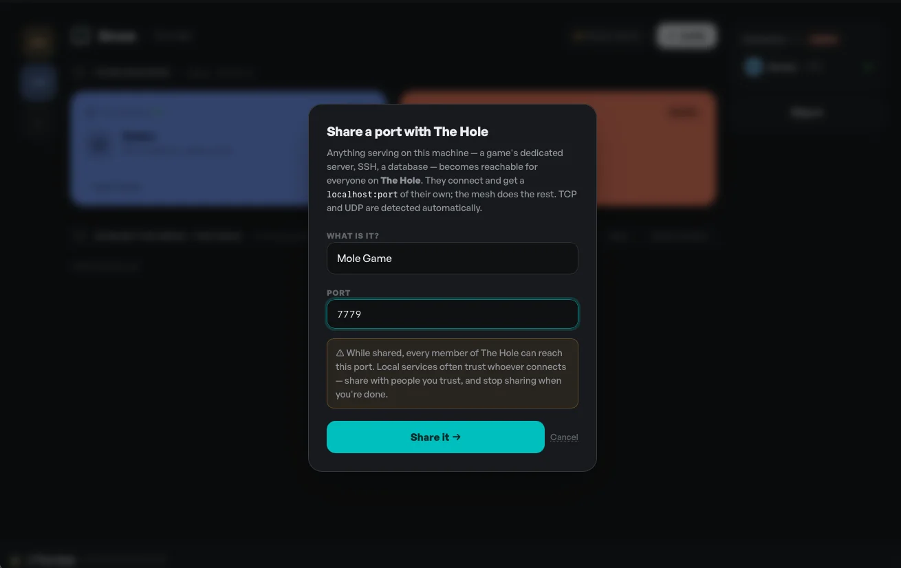 The 'Share a port' dialog: name a local service and the port it runs on, and everyone in the net can reach it.